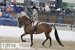 12r14_1599 proof