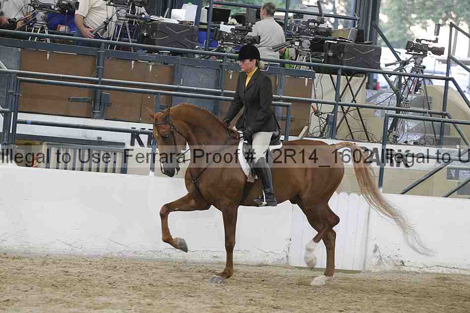 Proof 12r14_1602