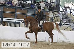 12r14_1602 proof