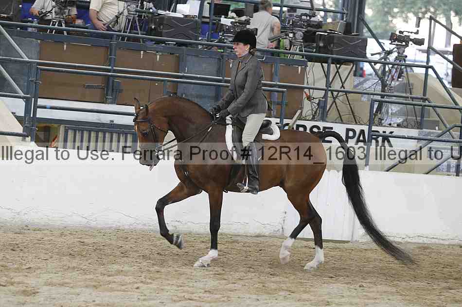 Proof 12r14_1603