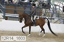 12r14_1603 proof
