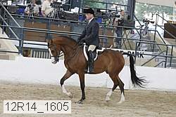 12r14_1605 proof