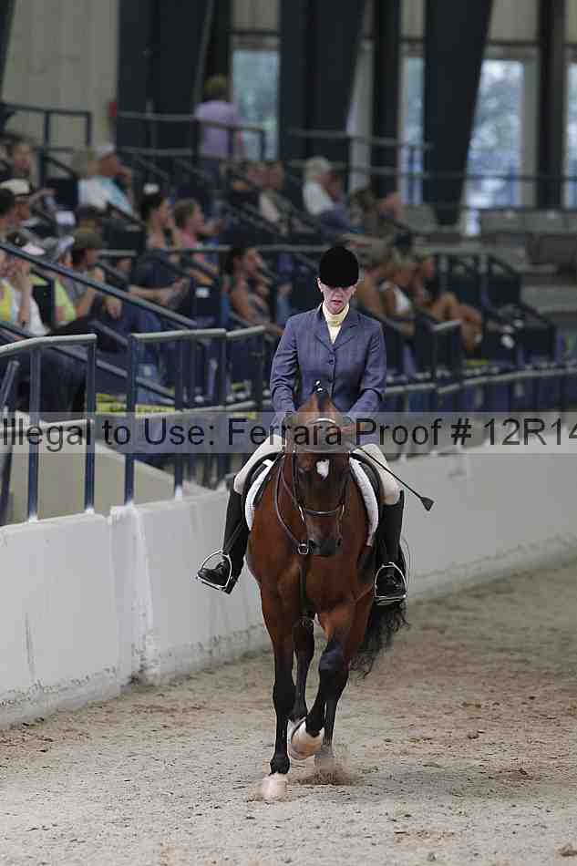 Proof 12r14_1606
