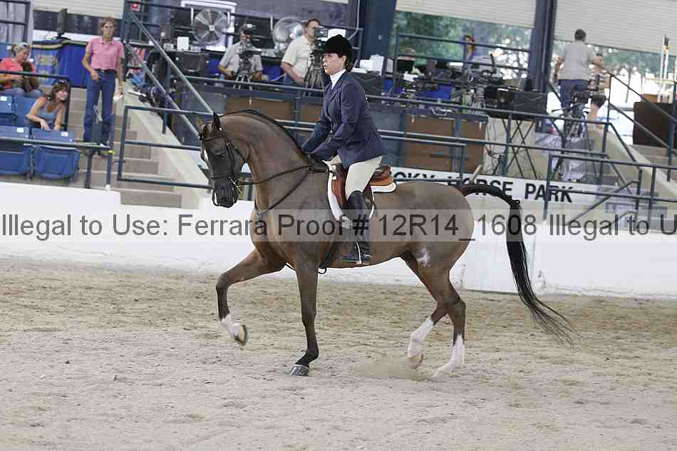 Proof 12r14_1608