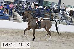 12r14_1608 proof