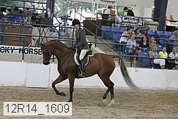 12r14_1609 proof