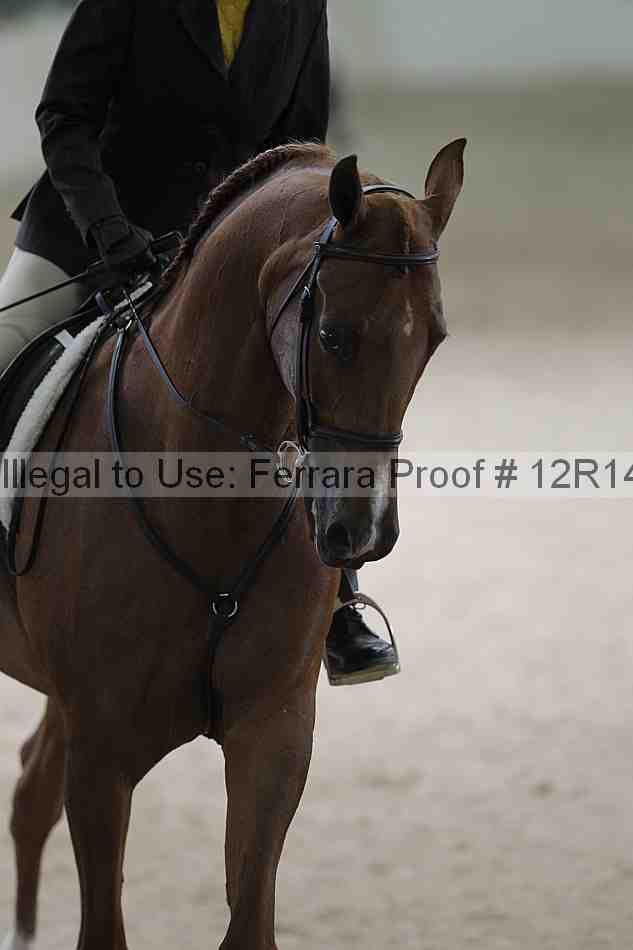Proof 12r14_1610