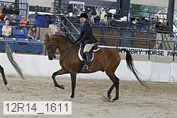 12r14_1611 proof