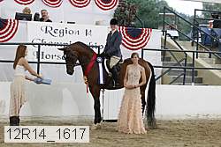 12r14_1617 proof