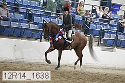 12r14_1638 proof