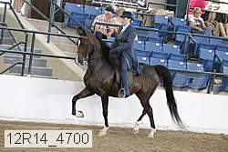 12r14_4700 proof