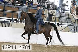 12r14_4701 proof