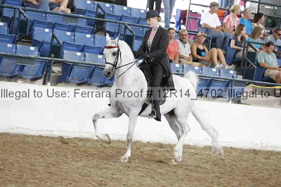 Proof 12r14_4702