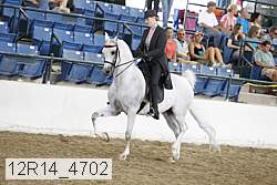 12r14_4702 proof