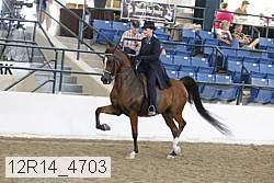 12r14_4703 proof