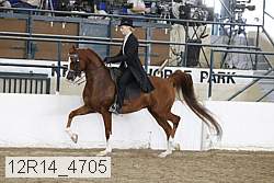 12r14_4705 proof
