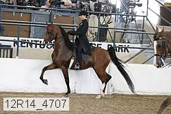 12r14_4707 proof