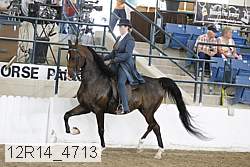 12r14_4713 proof