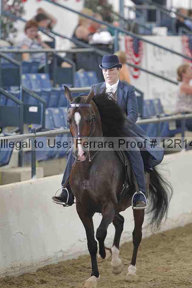 Proof 12r14_4716