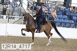 12r14_4717 proof