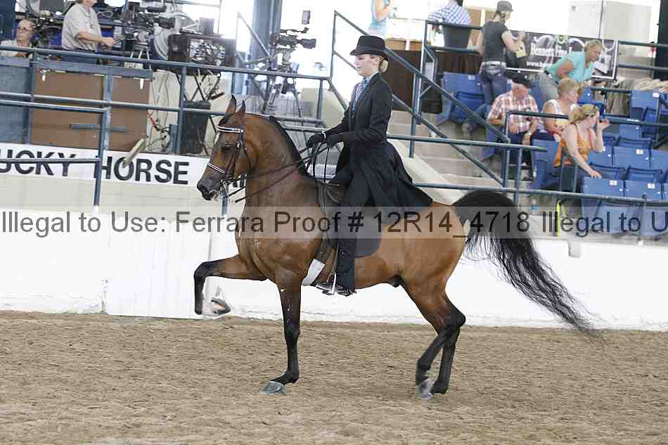 Proof 12r14_4718