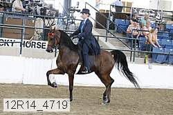 12r14_4719 proof