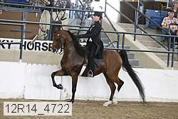 12r14_4722 proof