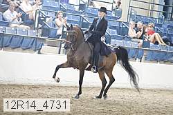 12r14_4731 proof