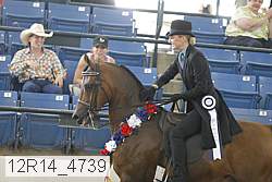 12r14_4739 proof