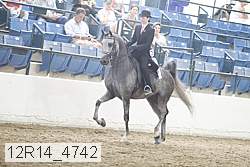 12r14_4742 proof