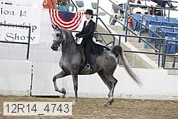 12r14_4743 proof