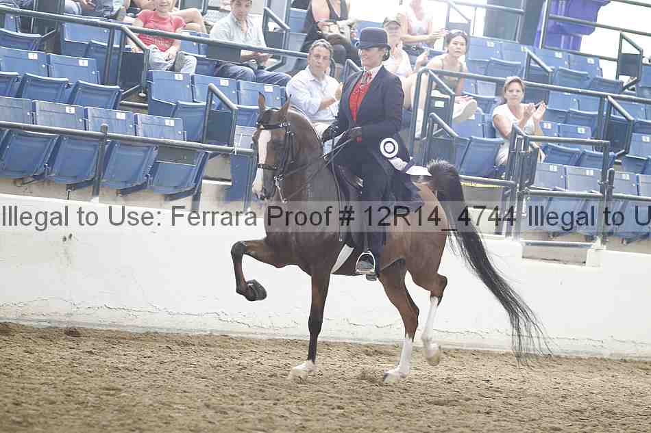 Proof 12r14_4744