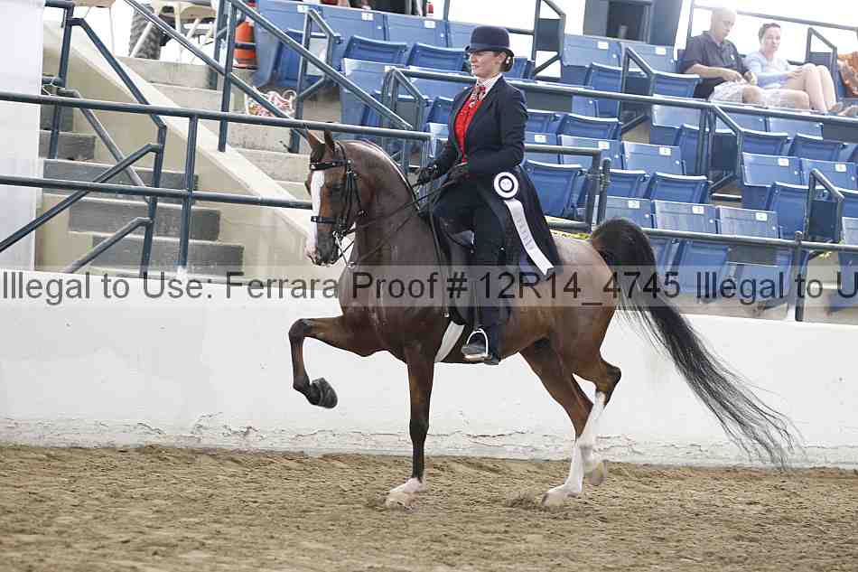 Proof 12r14_4745