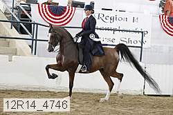 12r14_4746 proof