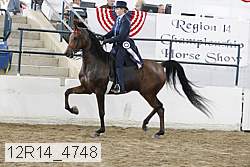 12r14_4748 proof