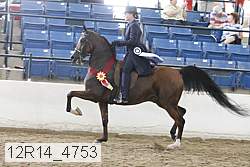 12r14_4753 proof