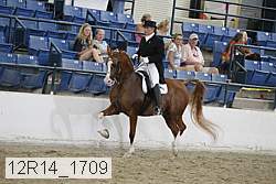 12r14_1709 proof