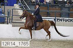 12r14_1765 proof