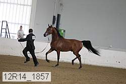 12r14_1857 proof