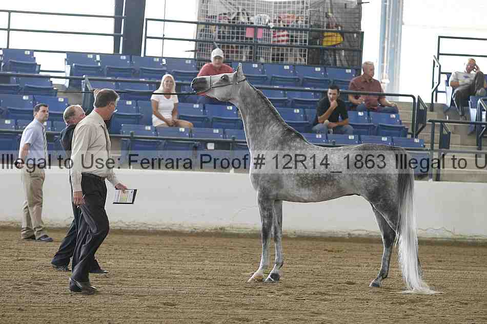 Proof 12r14_1863