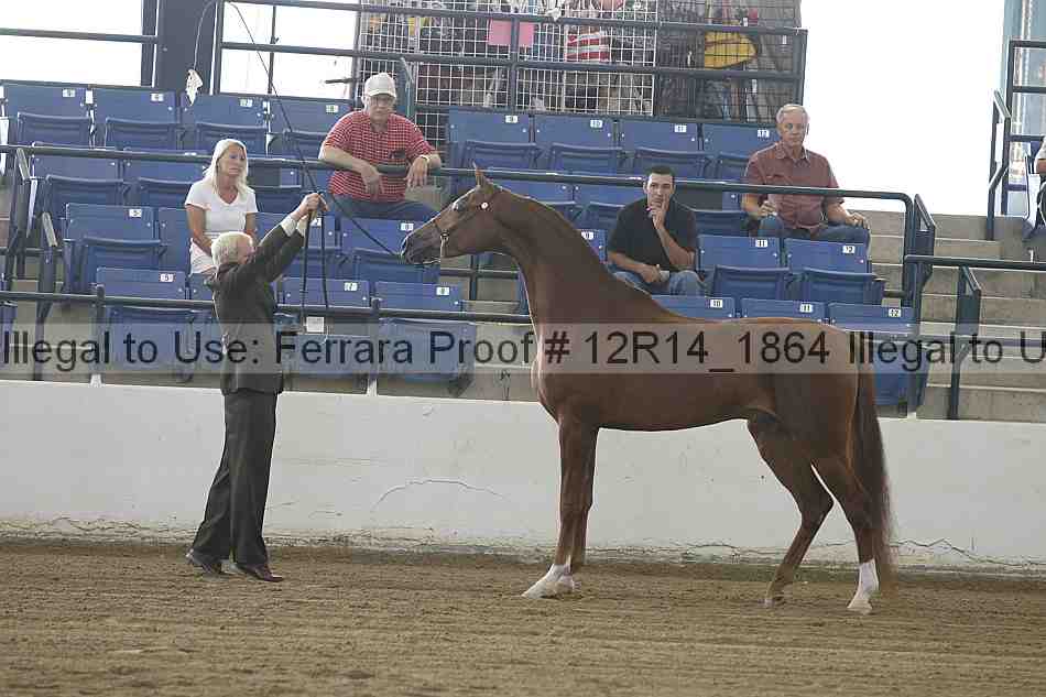 Proof 12r14_1864