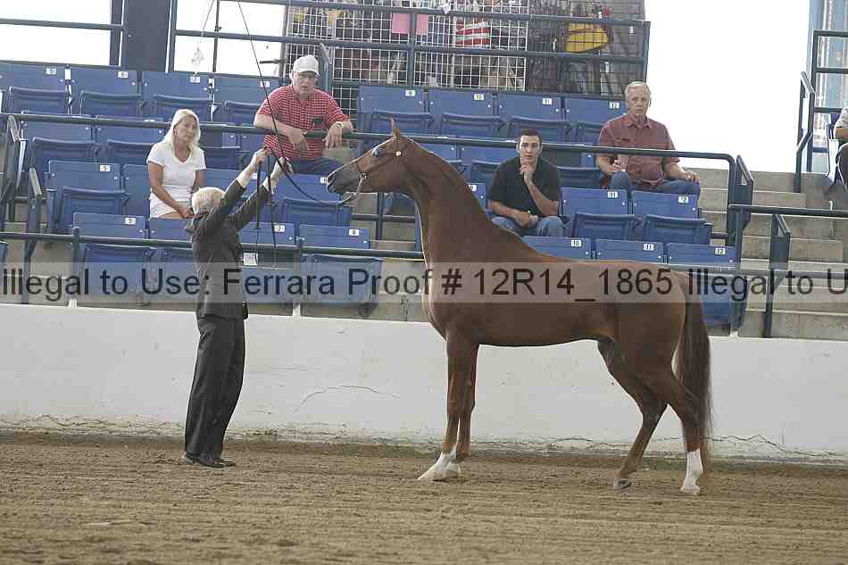Proof 12r14_1865