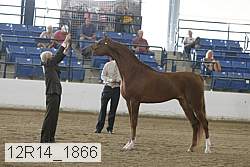 12r14_1866 proof