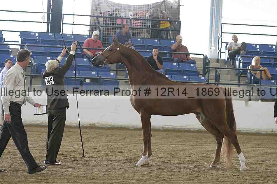 Proof 12r14_1869