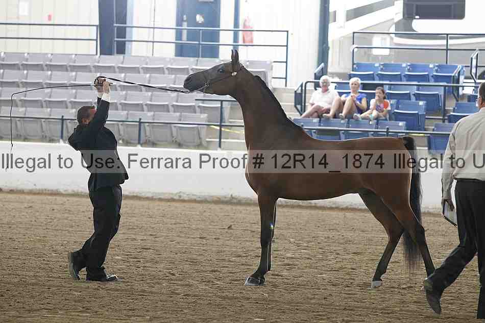 Proof 12r14_1874