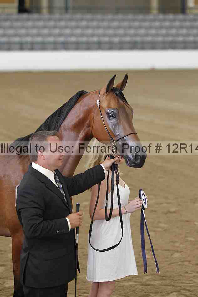 Proof 12r14_1880