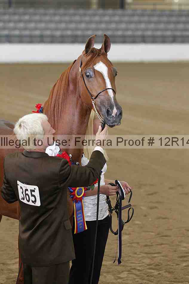 Proof 12r14_1897