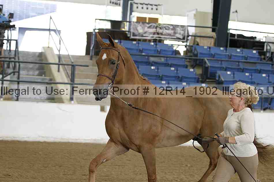 Proof 12r14_1902