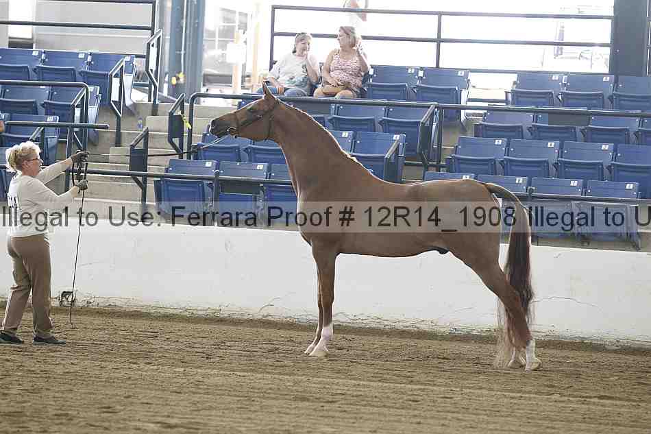 Proof 12r14_1908