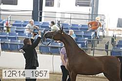 12r14_1957 proof